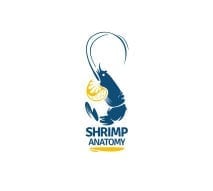 شرمب اناتومي logo